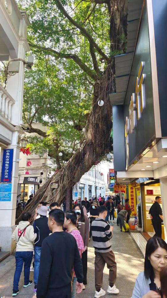 中英街保姆级攻略｜交通 + 入园 + 逛吃全搞定(图7)