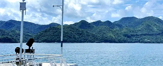 深圳盐田一日游｜云海公园 + 中英街保姆级攻略