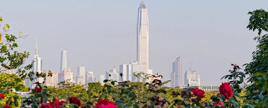 深圳漫步特区全攻略｜10 个宝藏景点串联逛