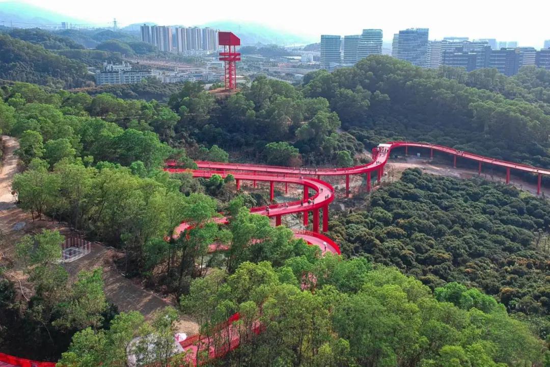 深圳漫步特区全攻略|10 个宝藏景点串联逛(图2) 深圳漫步特区全攻略|10 个宝藏景点串联逛(图2)