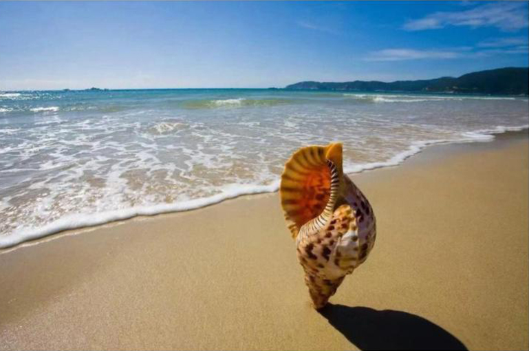 深圳三天两晚潮玩避坑指南：山海、老城、夜景的沉浸式解锁​(图6)