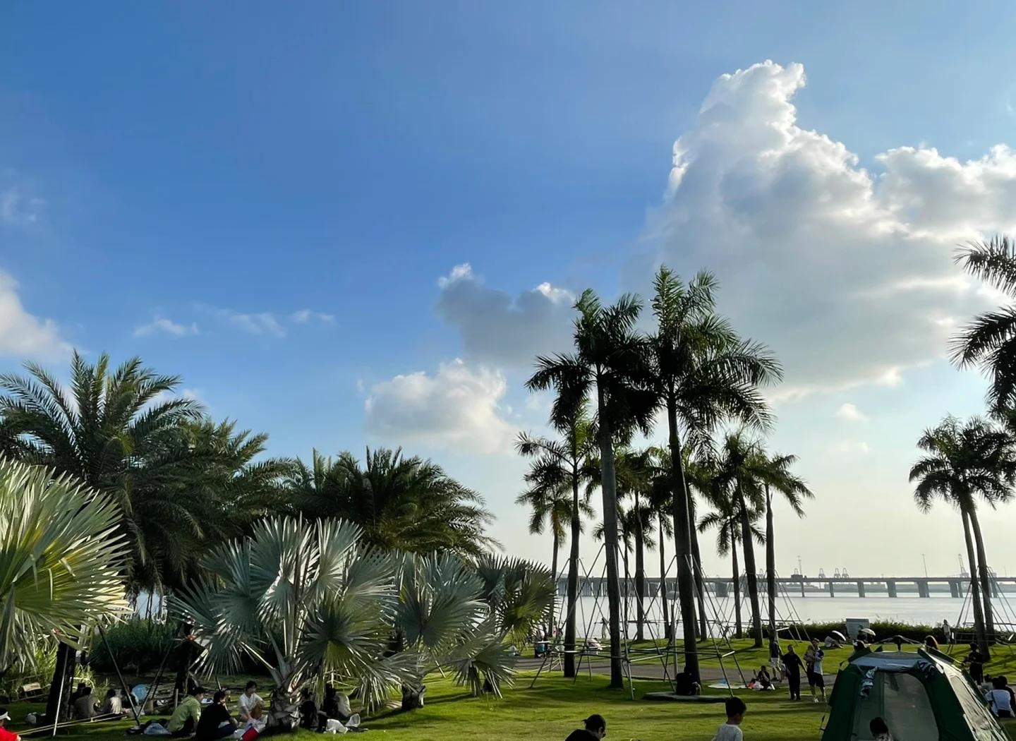 深圳三天两晚潮玩避坑指南：山海、老城、夜景的沉浸式解锁​(图13)