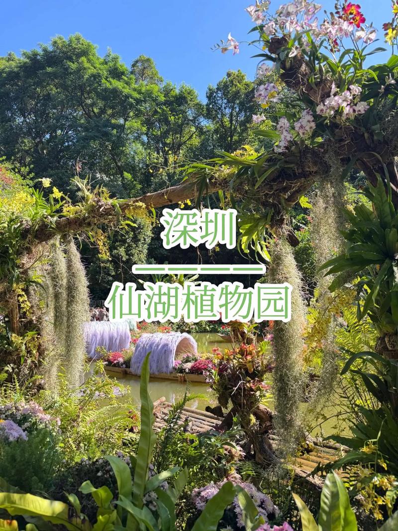 闺蜜游必备！深圳 3 日暴走不踩雷，嗨玩全攻略(图5)